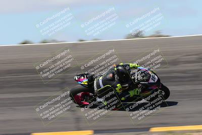 media/Apr-05-2024-Apex Assassins-CVMA Friday Practice (Fri) [[ee2ef04f2b]]/3-Racer 2/Session 3 (Bowl Speed Pans)/